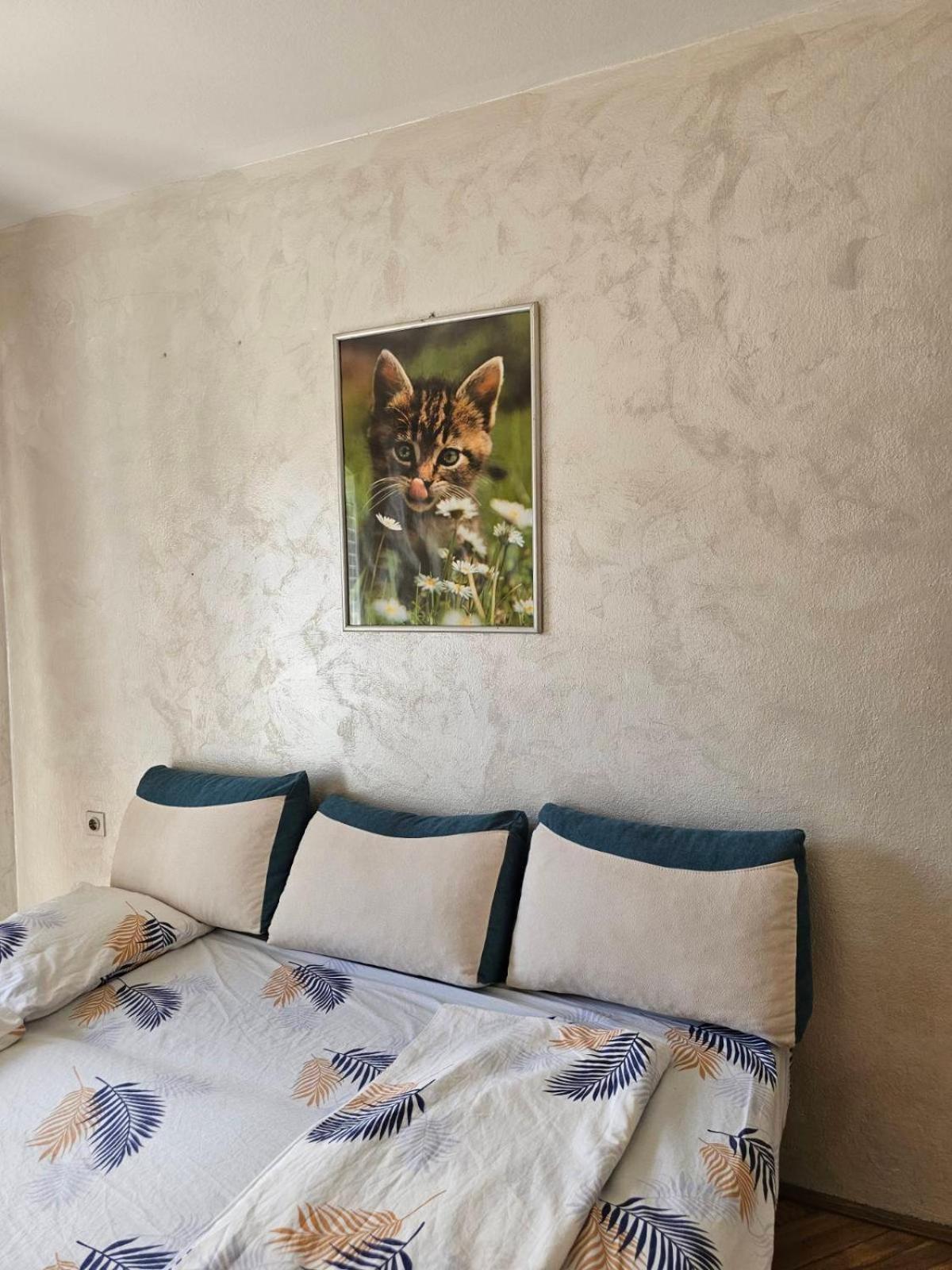 Ab Apartmani Risan Kotor Dış mekan fotoğraf