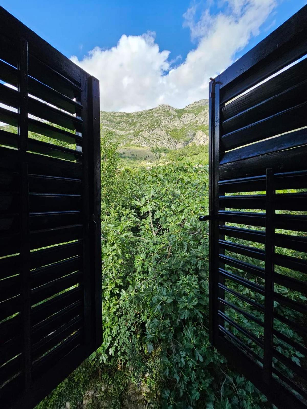 Ab Apartmani Risan Kotor Dış mekan fotoğraf